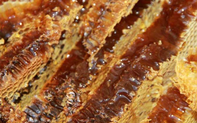 百花蜜的功效與作用及食用方法 百花蜜