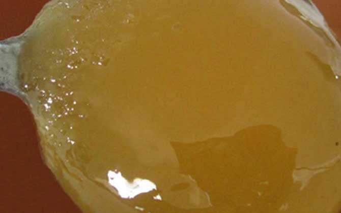 荊條蜜的功效與作用及食用方法 荊條蜜