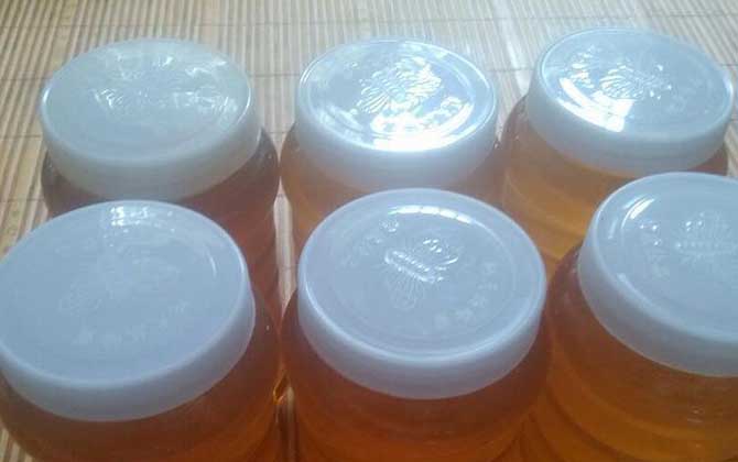 荊條蜜的功效與作用及食用方法 荊條蜜