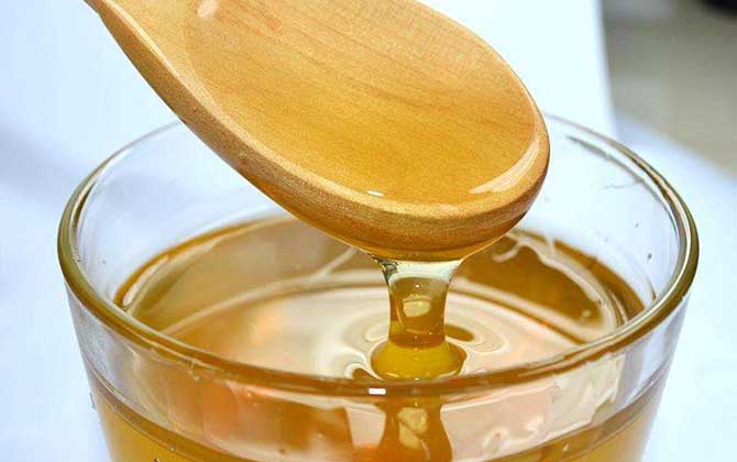 黃芪蜜的作用與功效及食用方法 黃芪蜜