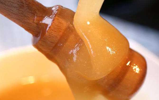 藿香蜜的作用與功效及食用方法 藿香蜜