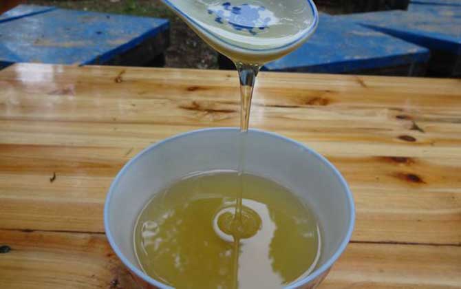 蜂蜜綠茶減肥原理及正確喝法 蜂蜜減肥