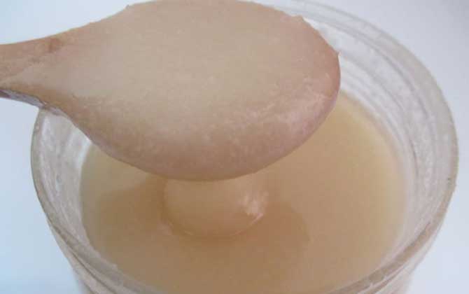 蜂蜜綠茶減肥原理及正確喝法 蜂蜜減肥