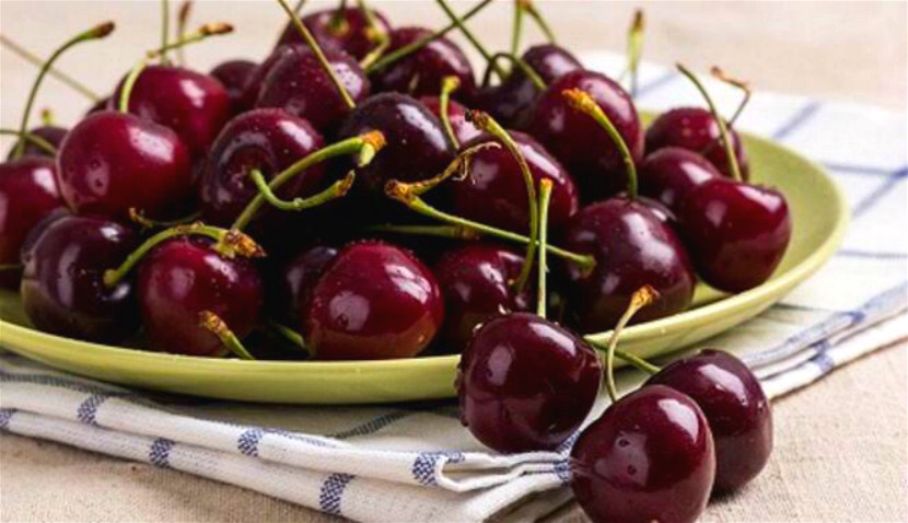 車?yán)遄邮鞘裁雌贩N（車?yán)遄拥目茖俸蜋烟业膮^(qū)別）