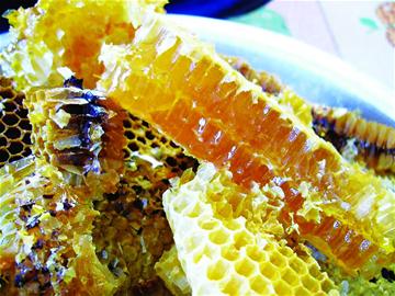 純正土蜂蜜多少錢(qián)一斤（正宗優(yōu)質(zhì)土蜂蜜價(jià)格）