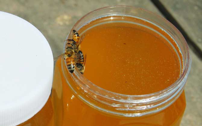 柑橘蜜的價(jià)格（正宗柑橘蜜價(jià)格多少錢(qián)一斤）